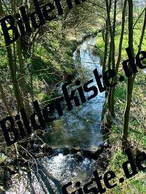 River with meadow and trees aside