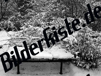 Bench winter totally