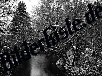 River in the winter with trees aside