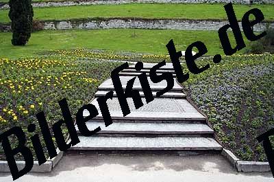 Treppe zwischen Blumenbeet