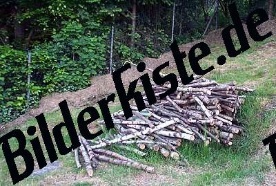 Holz geschlagen