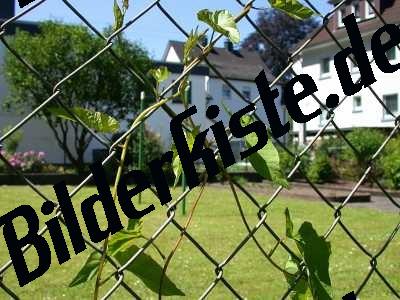 Fence with meshes