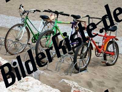 Bicycle stand at the beach