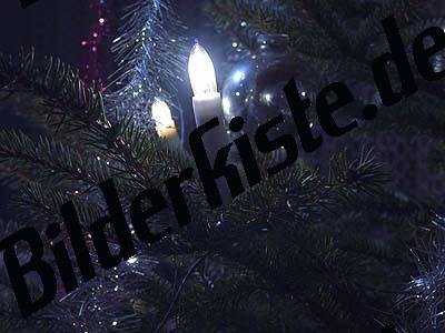 Zwei Kerzen im Weihnachtsbaum