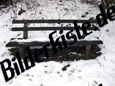 Snowbound bench