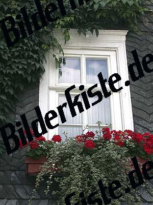 Fenster mit Blumekasten