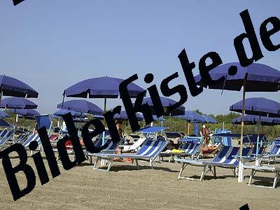 Sandstrand mit Liegen