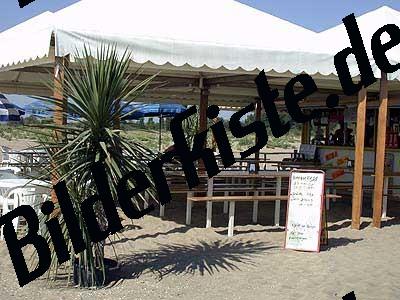 Beach bar with palms