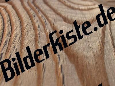 Holz Oberflaeche