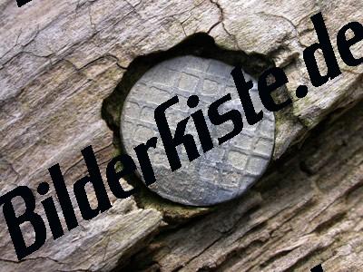 Nagel im Holz