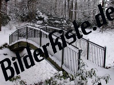 Bridge covered with snow