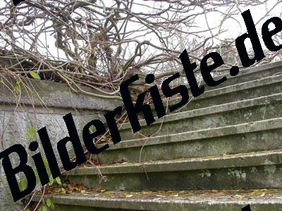 Aeste und Zweige auf Treppen