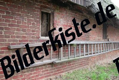 Leiter an Hauswand