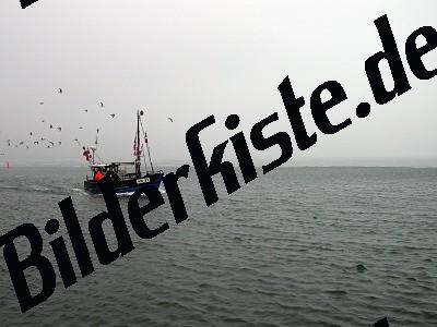 Fischerboot 