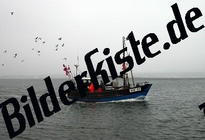 Fischerboot 