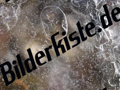 Luftblase unter Eisdecke