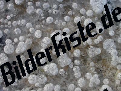 Luftblasen unter Eisdecke