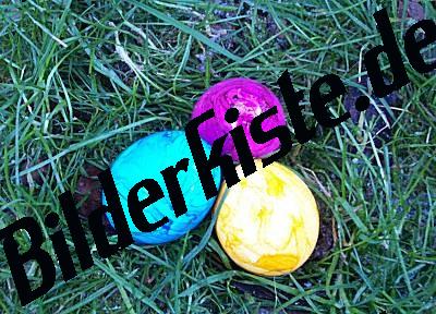 Easter eggs in the grass