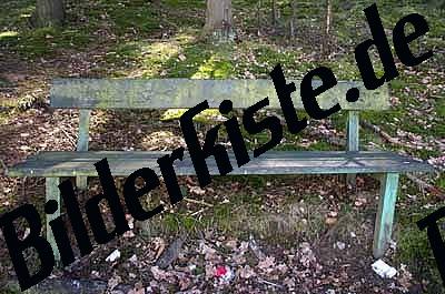 Bench covered with moss