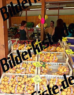 Small yellow plums at the market
