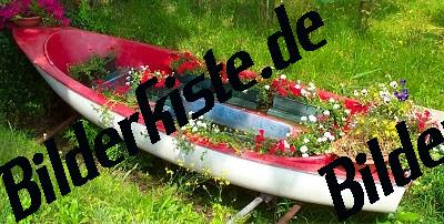 Boot mit Blumen