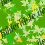 Bilder zum Thema leaves anzeigen