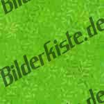 Bilder zum Thema green anzeigen