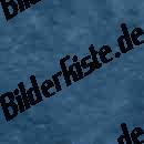 Leder