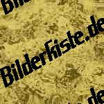 Bilder zum Thema ozeane anzeigen
