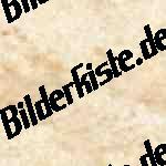Bilder zum Thema braun anzeigen