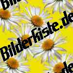 Bilder zum Thema natur anzeigen