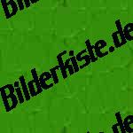 Blaetterdach