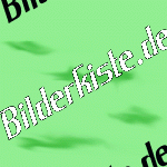 Spuren