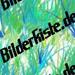 Striche