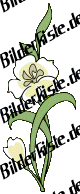 Blumen: Bl�te 1 - wei� (nicht animiert)
