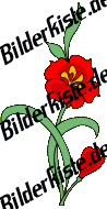 Blumen: Bl�te 1 - rot (nicht animiert)