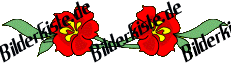Blumen: Bl�te 1 - rot horizontal (nicht animiert)