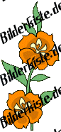 Blumen: Bl�te 1  - orange (nicht animiert)