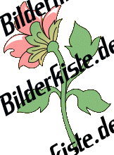 Blumen: Bl�te 2 - rosa 1 (nicht animiert)