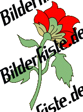 Blumen: Bl�te 2 - rot (nicht animiert)