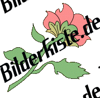 Blumen: Bl�te 2 - rosa 4 (nicht animiert)