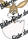 Ostern: Hase - im Osterei (wei�) 3 (nicht animiert)