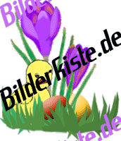 Ostern: Krokus -  mit Ostereiern und K�ken (nicht animiert)