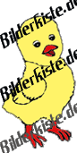 K�ken: H�pft 1 (animiertes GIF)
