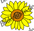 Flowers: Sunflower 1 (not animated)