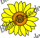 Blumen: Sonnenblume 3 (nicht animiert)