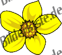 Flowers: daffodil 1 (not animated)