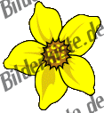 Blumen: Osterglocke 2 (nicht animiert)