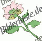 Blumen: Blte 2 - rosa 3 (nicht animiert)