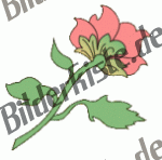 Blumen: Blte 2 - rosa 4 (nicht animiert)